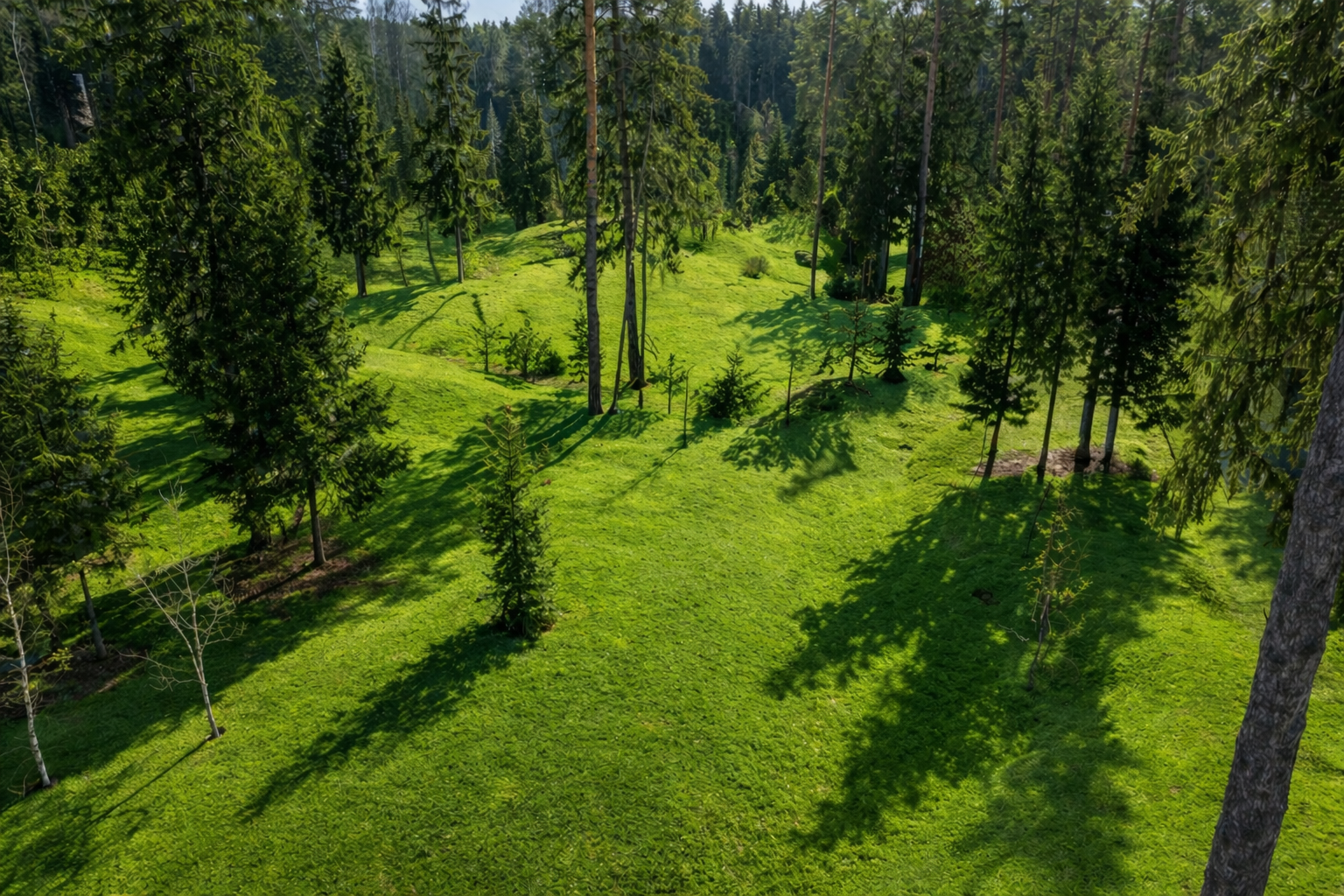 Николина Гора