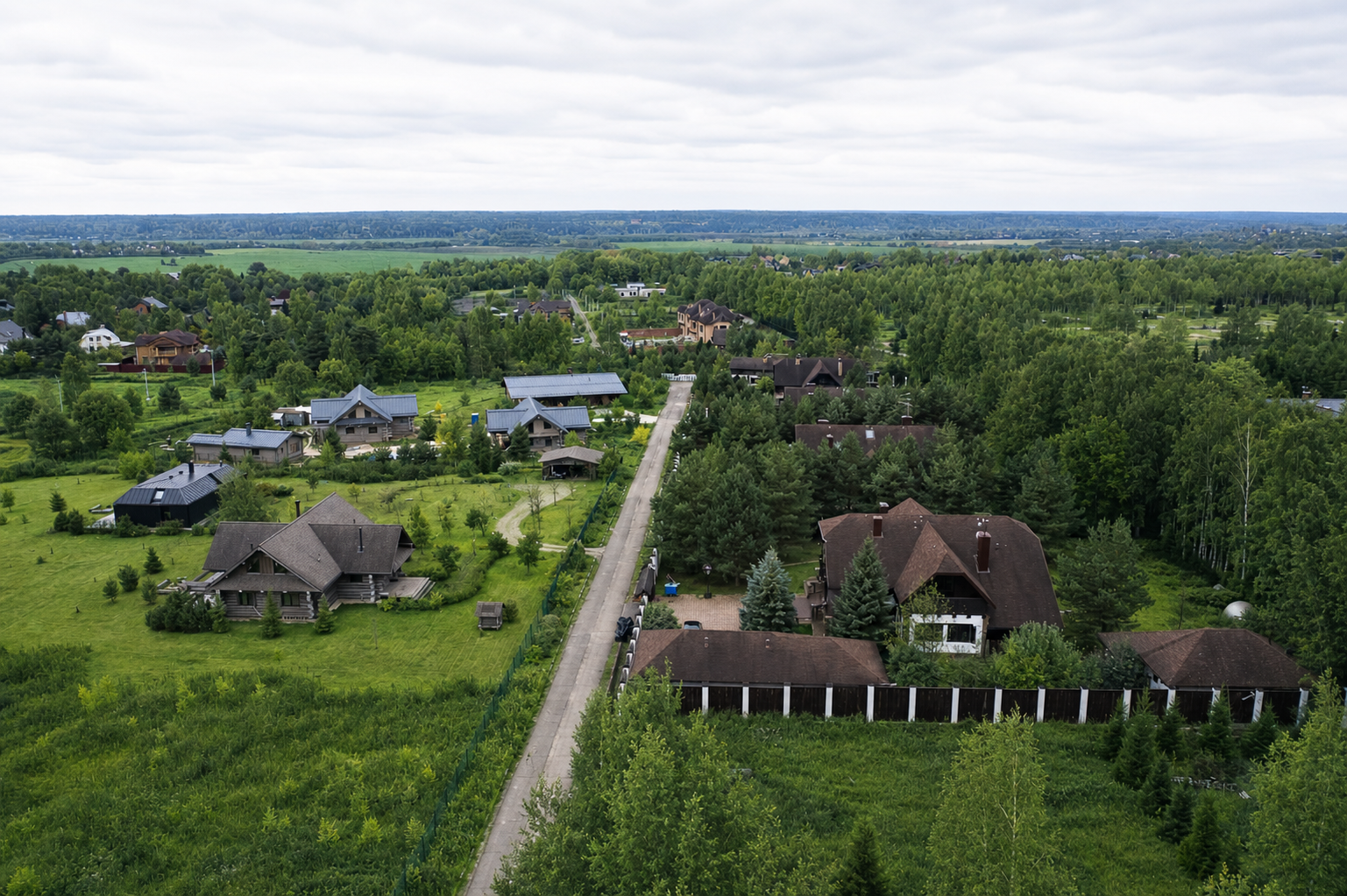 Палицы
