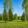 thumb_image_2
