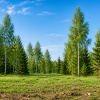 thumb_image_3