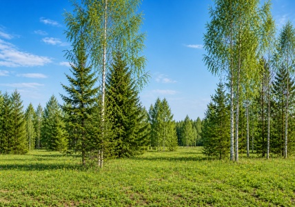 product_image_2
