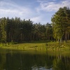 thumb_image_0