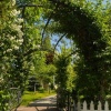 thumb_image_1
