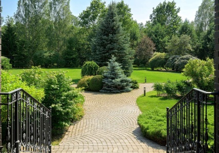product_image_1