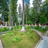 thumb_image_37