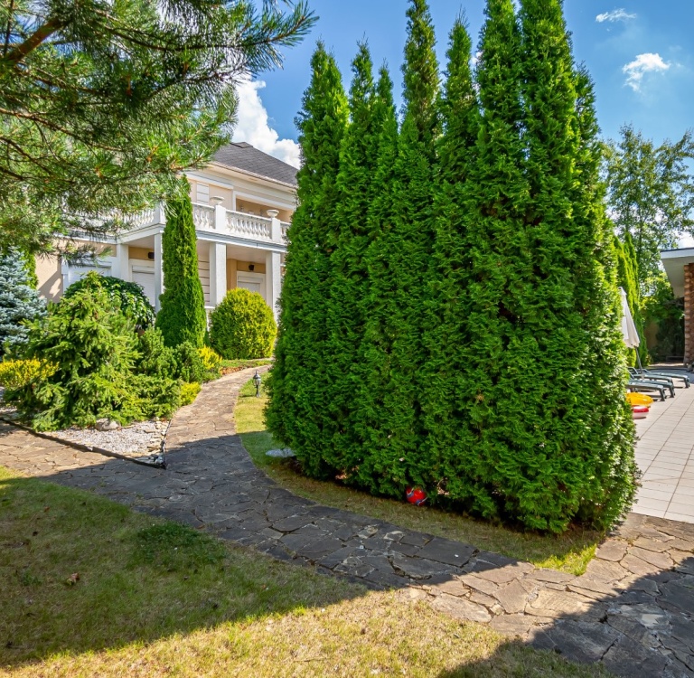 product_image_14