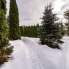 thumb_image_29