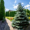 thumb_image_7