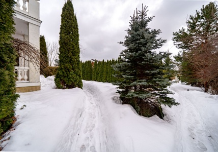product_image_71