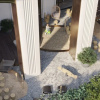 thumb_image_3