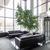 thumb_image_6
