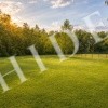 thumb_image_0