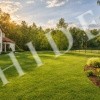 thumb_image_3