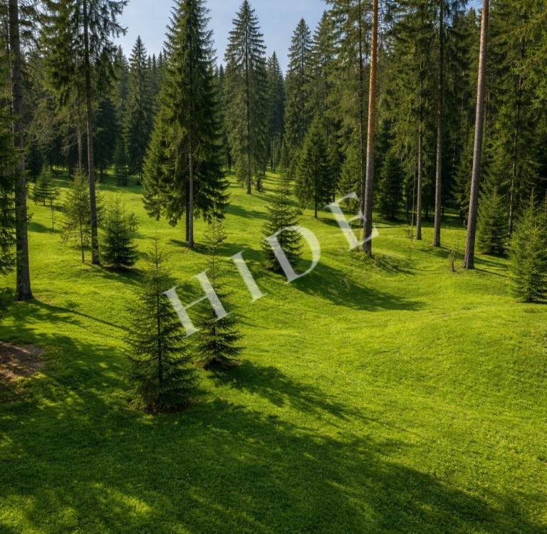 product_image_1