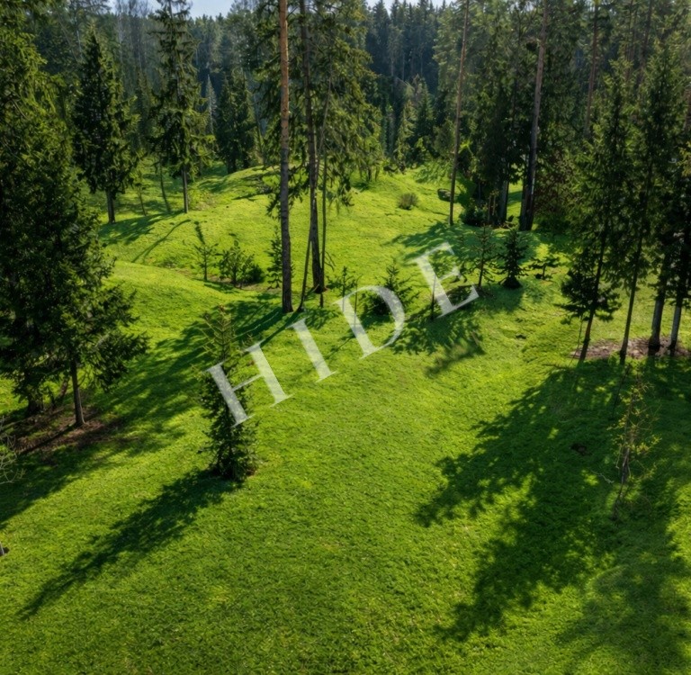 product_image_0