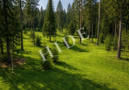 product_image_1