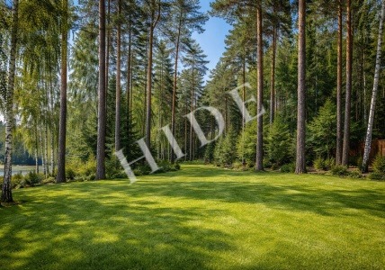 product_image_1
