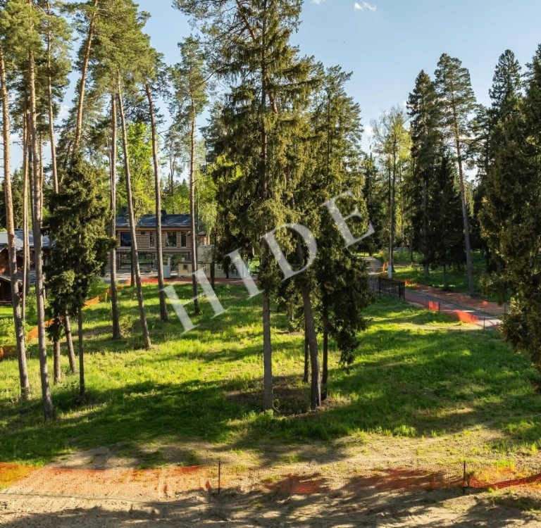 product_image_3