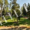 thumb_image_3