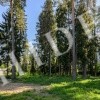 thumb_image_2