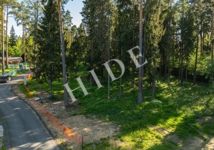 product_image_1