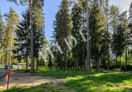 product_image_2