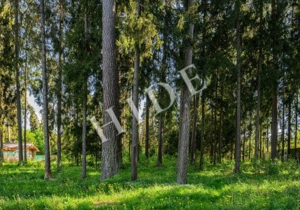 product_image_3