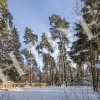 thumb_image_2