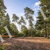 thumb_image_4