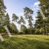 thumb_image_0