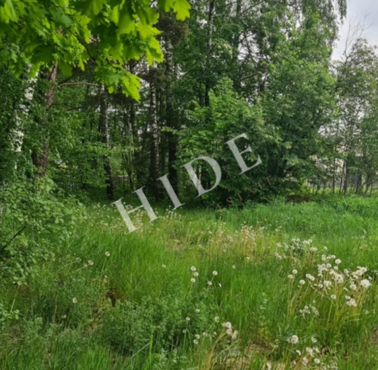 product_image_2