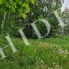 thumb_image_2