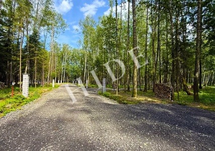 product_image_1