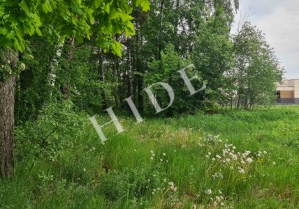 product_image_2