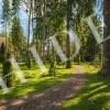 thumb_image_1