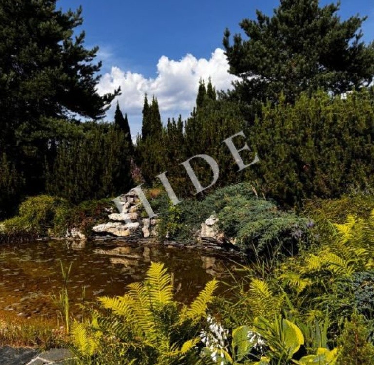product_image_15