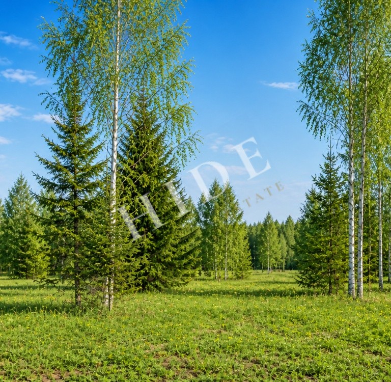 product_image_2