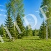 thumb_image_2
