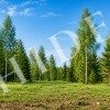thumb_image_3