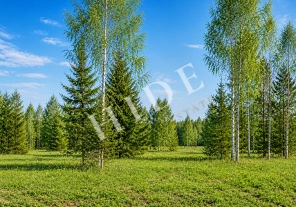 product_image_2