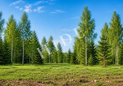 product_image_3