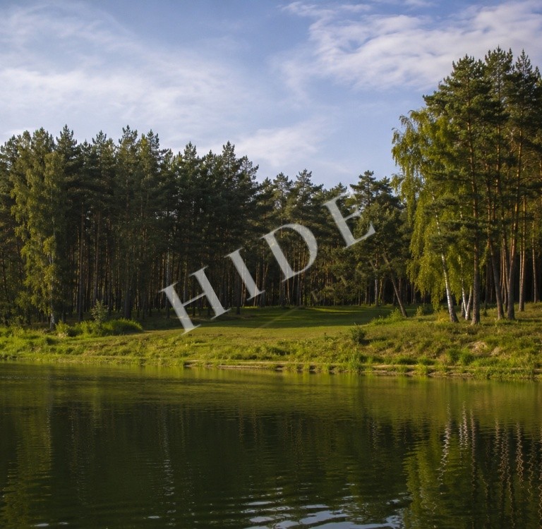 product_image_0