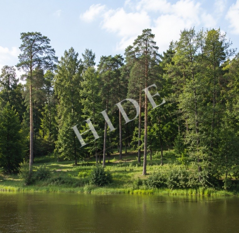 product_image_2