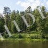 thumb_image_2
