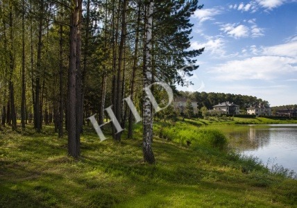 product_image_1