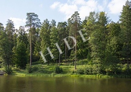 product_image_2