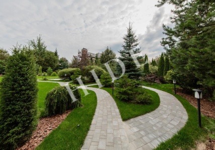 product_image_22