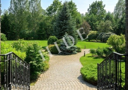 product_image_1
