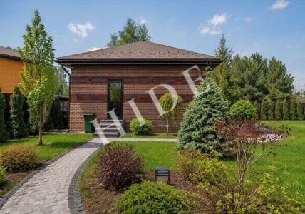 product_image_1