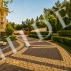 thumb_image_26